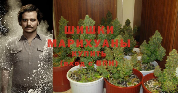 трава Кулебаки