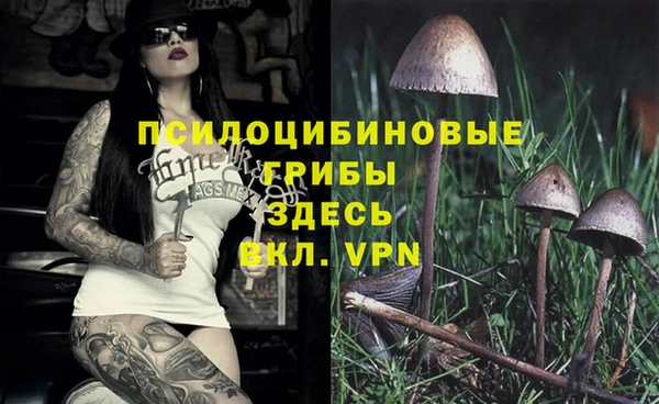 первитин Куйбышев