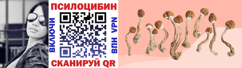Псилоцибиновые грибы Cubensis купить наркотики сайты Ядрин
